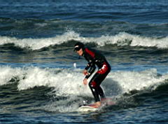 0341 Plettenberg Bay IMG_3226.jpg